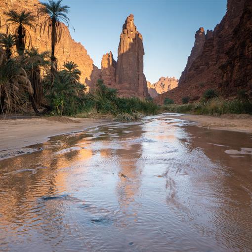 stock-photo-rock-and-oasis-scenes-in-wadi-disah-in-tabuk-region-saudi-arabia-1447010393